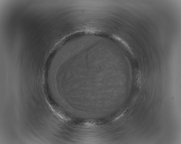 X0000082680496200702161702