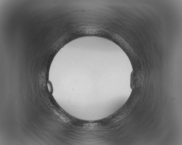 X0000082680497200702161702