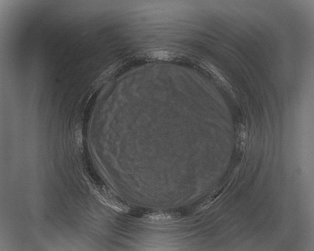 X0000082680500200702161702