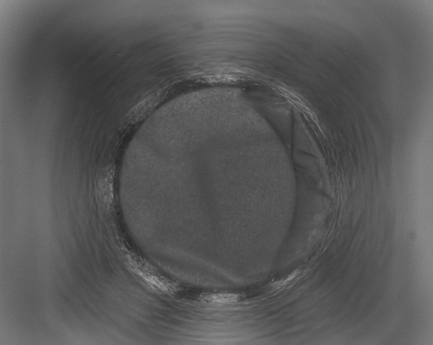 X0000082680501200702161702