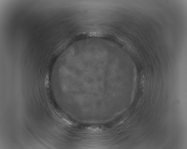 X0000082680502200702161702