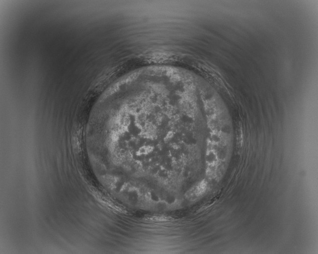 X0000082680503200702161702