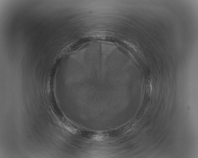 X0000082680504200702161702