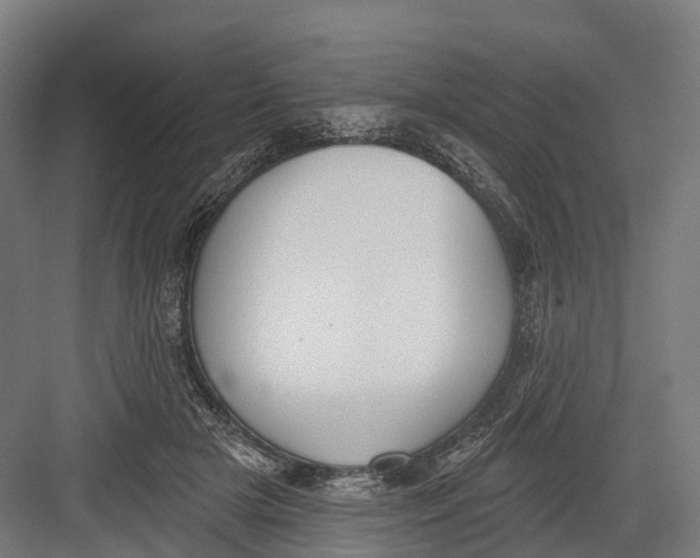 X0000082680505200702161702