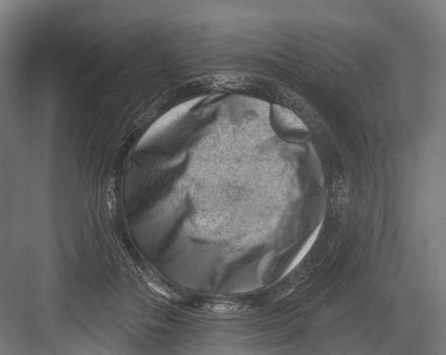 X0000082680506200702161702