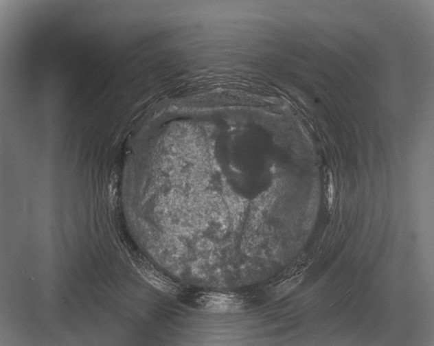 X0000082680507200702161702