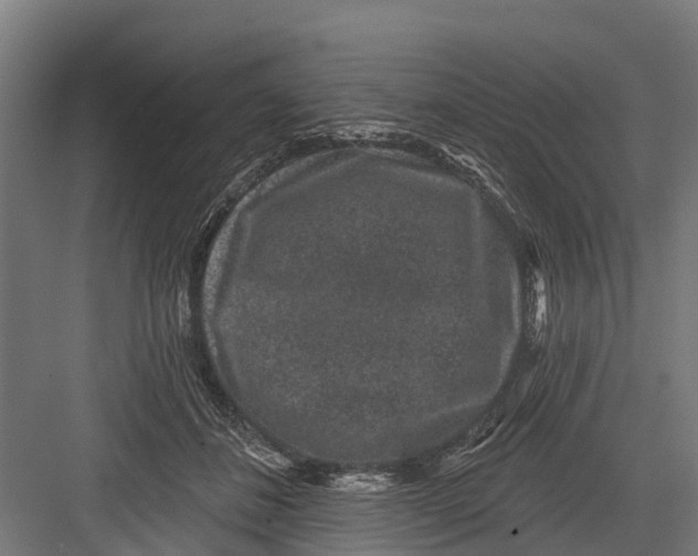 X0000082680508200702161701