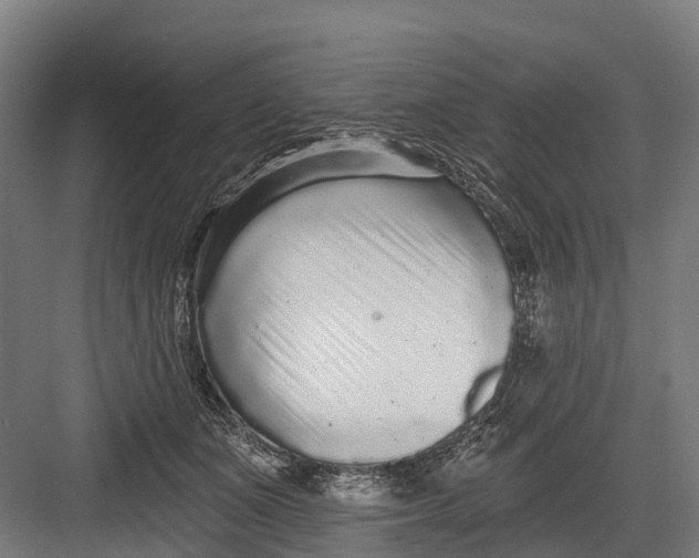 X0000082680511200702161701