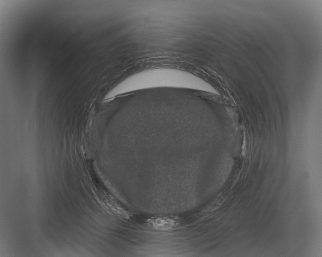 X0000082680512200702161701