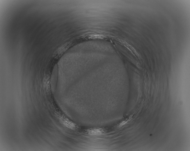 X0000082680513200702161701