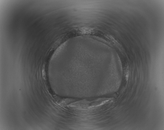 X0000082680516200702161701