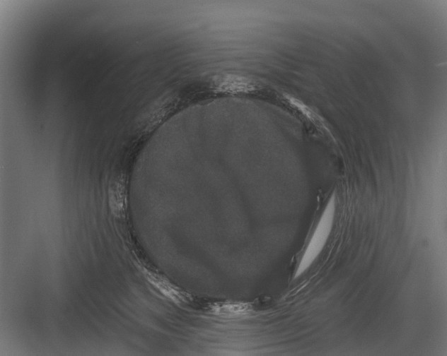 X0000082680517200702161701