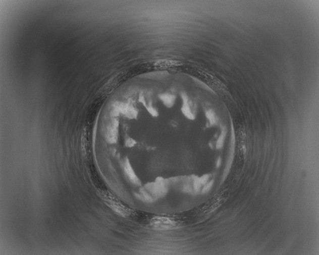 X0000082680519200702161701