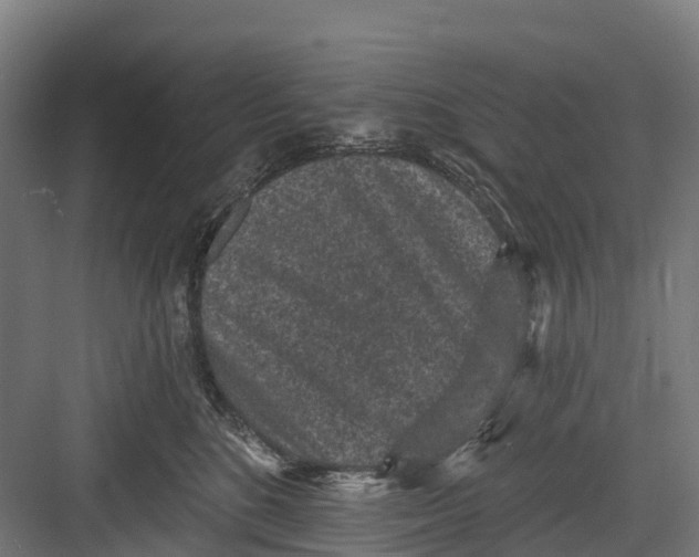 X0000082680520200702161701