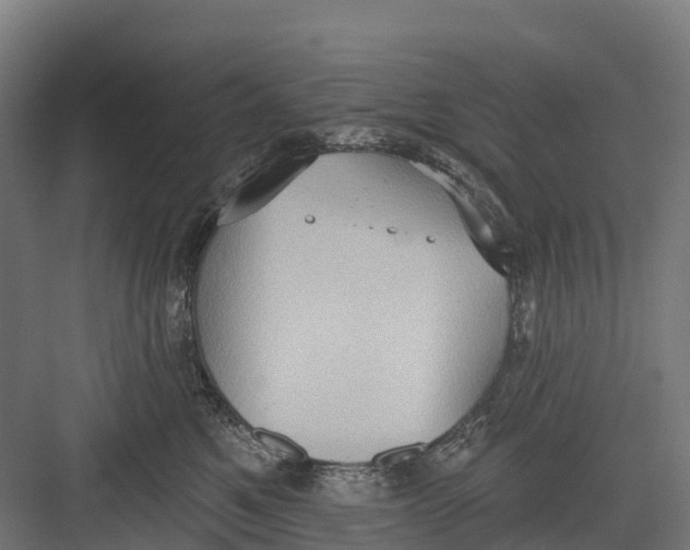 X0000082680521200702161701