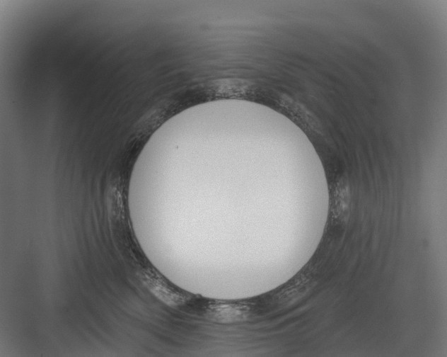 X0000082680522200702161701