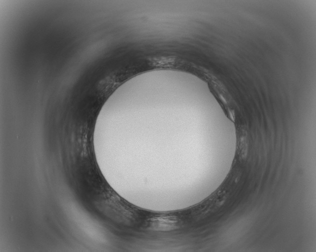 X0000082680525200702161701