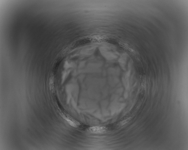 X0000082680526200702161701