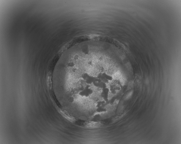 X0000082680527200702161701