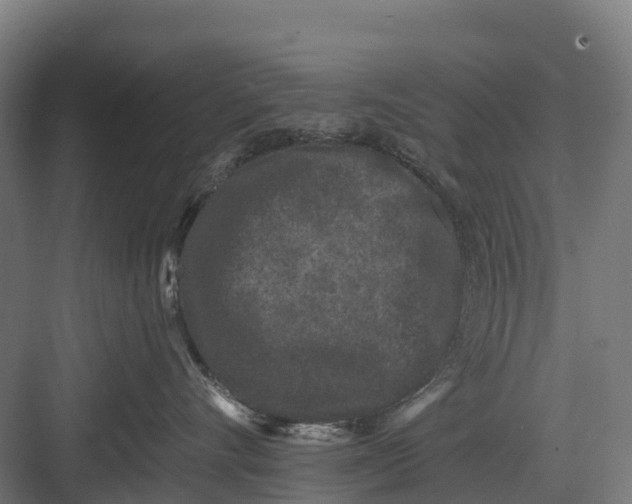 X0000082680528200702161701