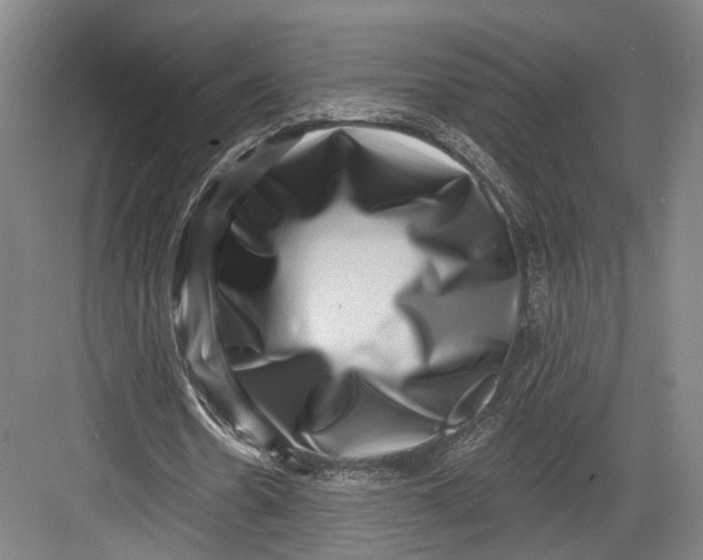 X0000082680530200702161700