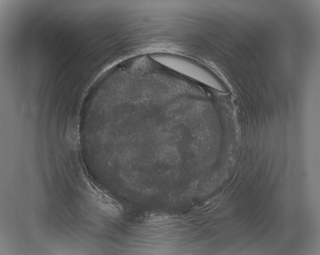 X0000082680531200702161700