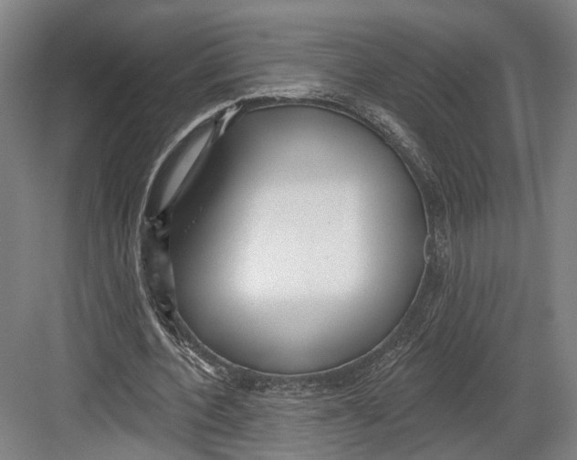 X0000082680532200702161700