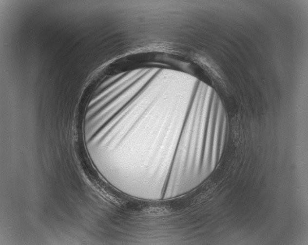 X0000082680536200702161700