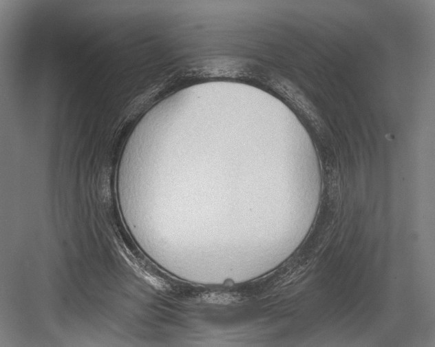 X0000082680537200702161700