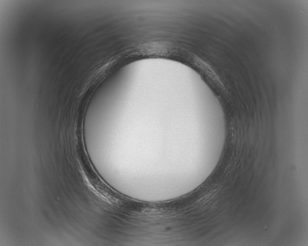 X0000082680538200702161701