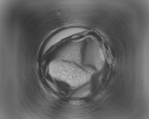 X0000082680540200702161701