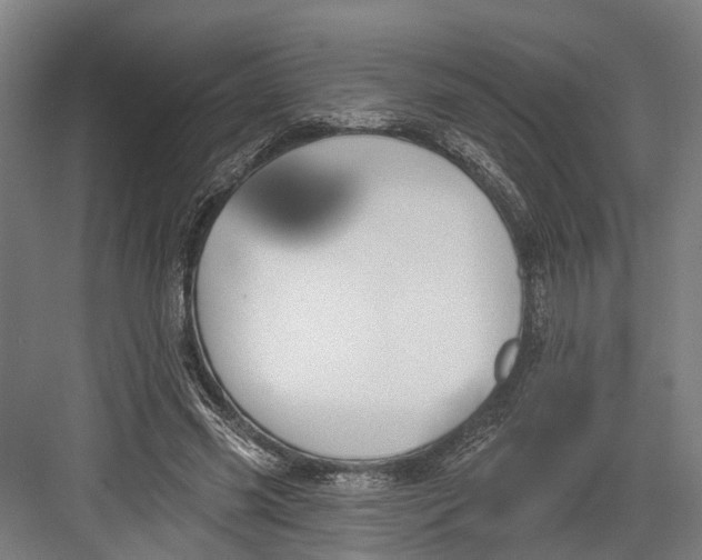 X0000082680541200702161701