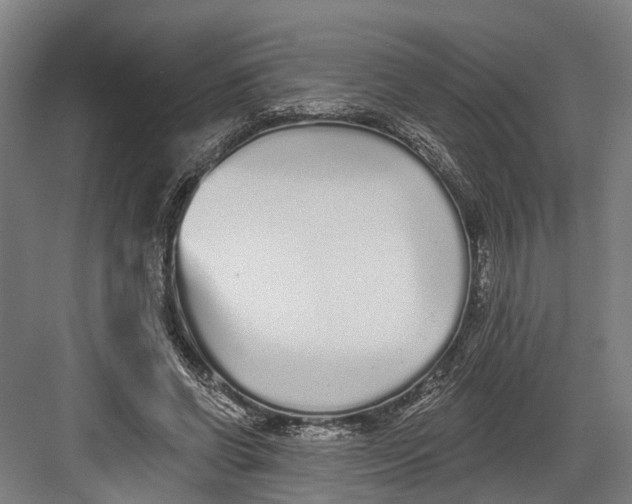 X0000082680542200702161701