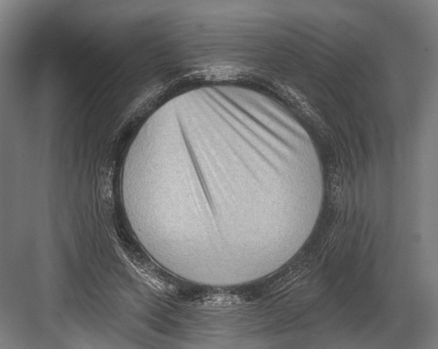 X0000082680543200702161701