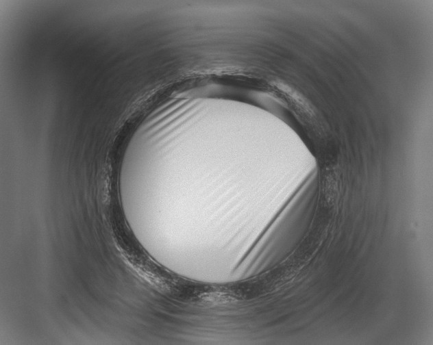 X0000082680544200702161701