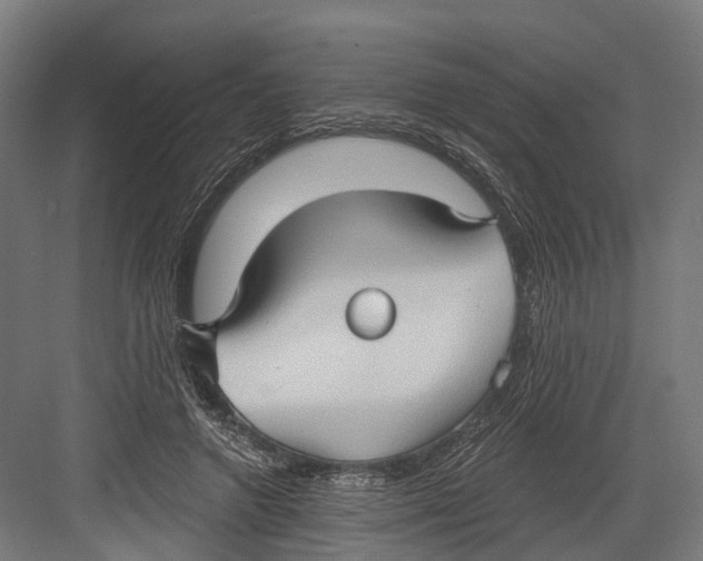 X0000082680546200702161701