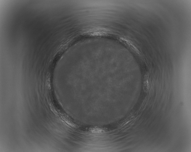 X0000082680547200702161701