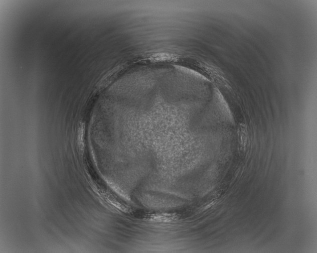 X0000082680550200702161701