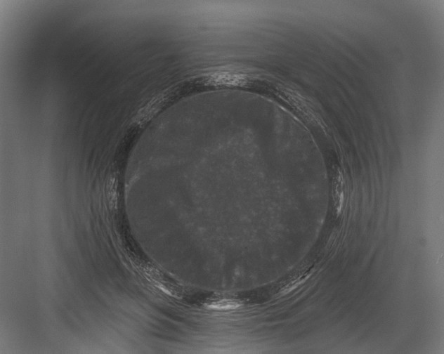 X0000082680551200702161701