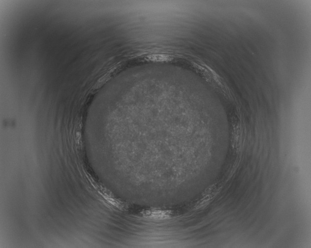 X0000082680553200702161701