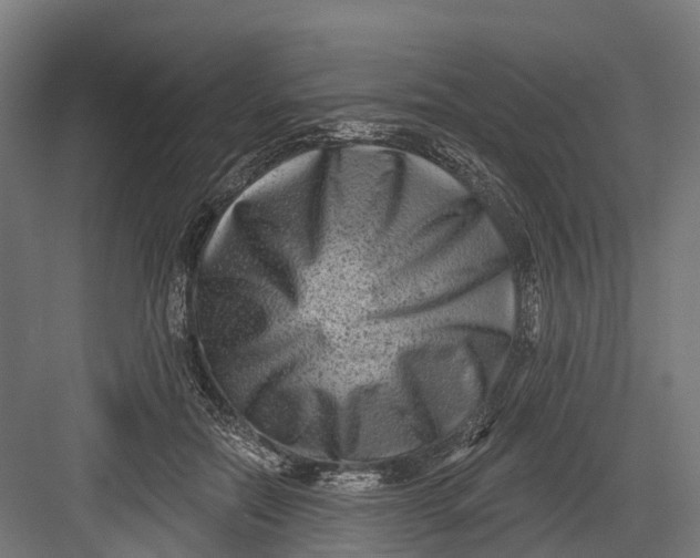 X0000082680554200702161701