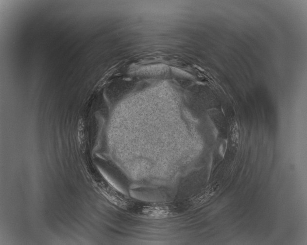 X0000082680559200702161701