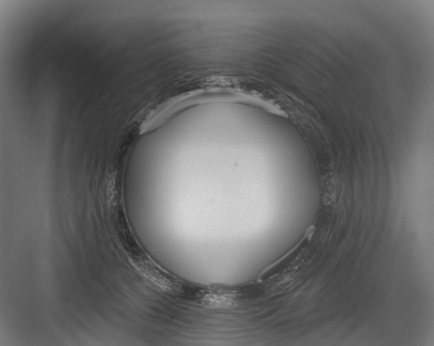 X0000082680560200702161701