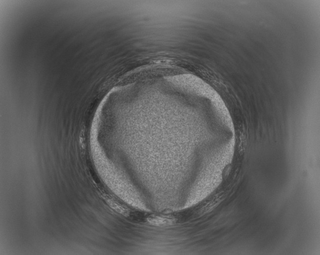 X0000082680561200702161701