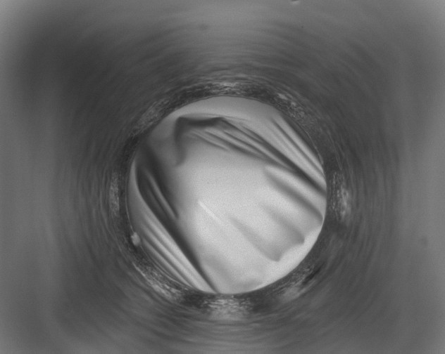 X0000082680562200702161701