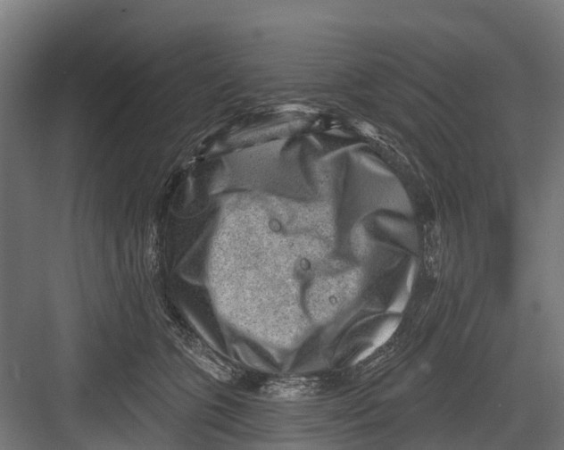 X0000082680563200702161701