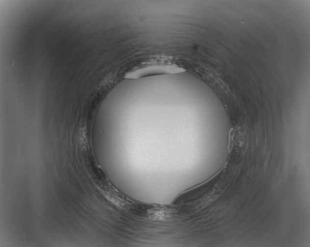 X0000082680564200702161701