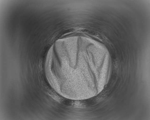 X0000082680565200702161701