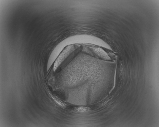 X0000082680566200702161701