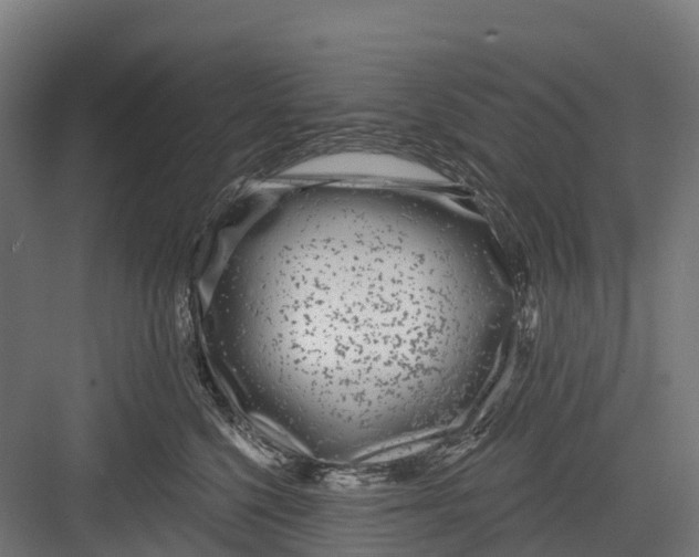 X0000082680568200702161701